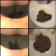A woman takes shits into a toilet as seen from the edge of a wooden toilet seat in 9 scenes. Over 18 minutes.